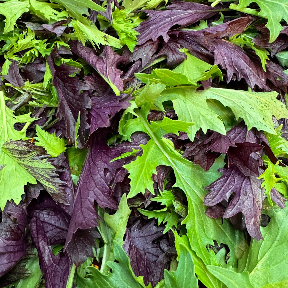 Spicy Salad Mix