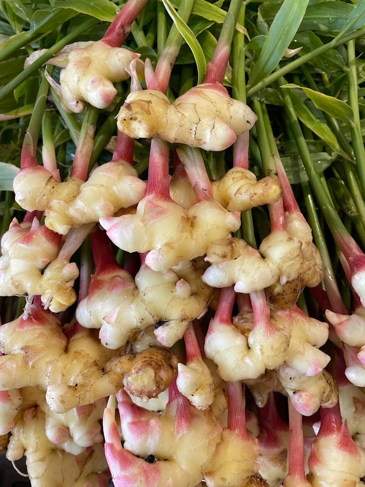 Fresh Ginger - 1/2 Pound Bag