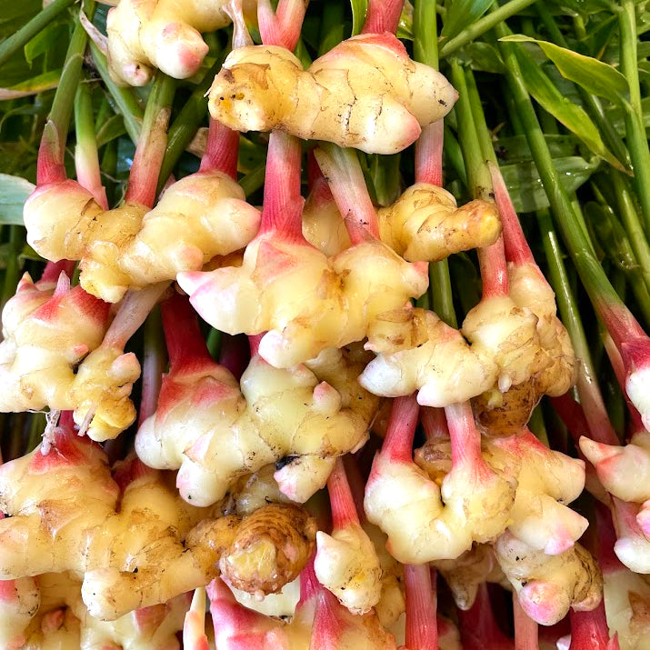 Fresh Ginger - 1 Pound Bag