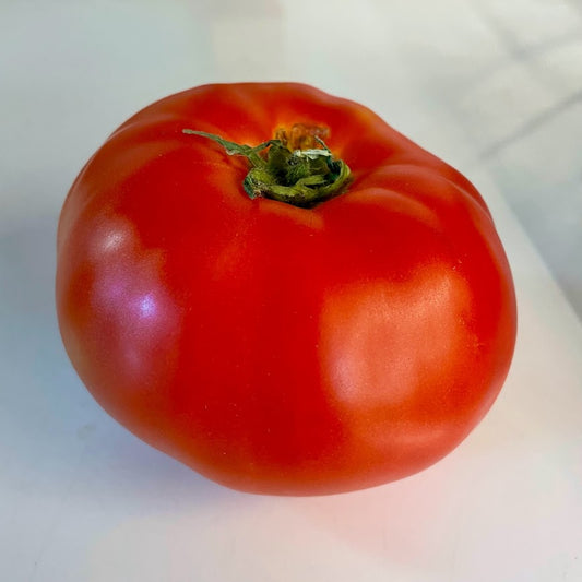 Moskvich Red Slicer Tomato Plant