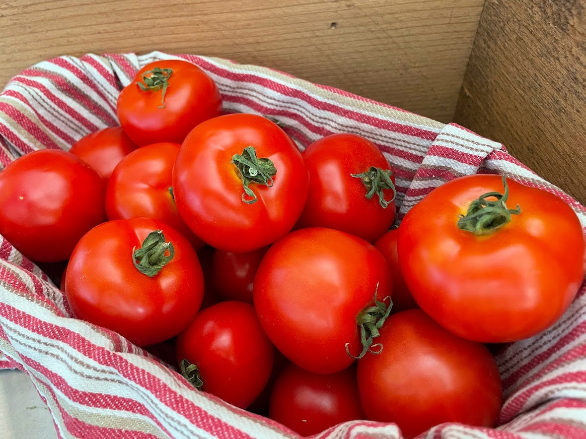 Red Slicer Tomatoes - Pints