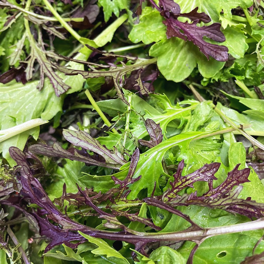 Spring Salad Mix