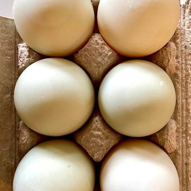 Duck Eggs