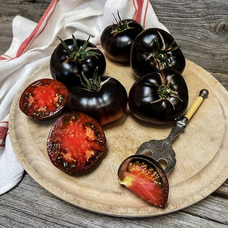 Black Beauty Large Tomato Plant